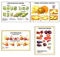 Плакаты ПРОФТЕХ "Ассортимент овощных культур" (12 пл, винил, 70х100) - fgospostavki.ru - Обнинск