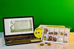 Коллекция натурально-интерактивная "Палеонтологическая" - fgospostavki.ru - Обнинск