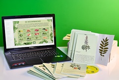 Гербарий натурально-интерактивный "Культурные растения" - fgospostavki.ru - Обнинск