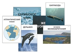 Модель-аппликация "Океаны. Знакомство" (ламинированная) - fgospostavki.ru - Обнинск