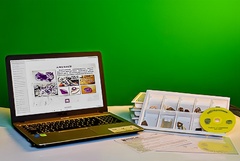 Коллекция натурально-интерактивная "Кварц в природе" - fgospostavki.ru - Обнинск