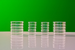 Набор чашек Петри - fgospostavki.ru - Обнинск