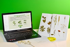 Гербарий натурально-интерактивный "Морфология растений" - fgospostavki.ru - Обнинск