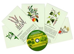 Интерактивный наглядный комплекс "Гербарий "Для начальной школы" - fgospostavki.ru - Обнинск