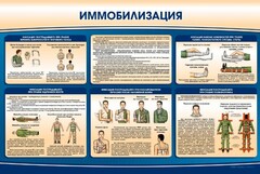 Стенд "Иммобилизация" - fgospostavki.ru - Обнинск