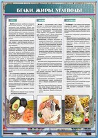 Стенд "Белки. Жиры. Углеводы" - fgospostavki.ru - Обнинск