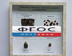 Коллекция энтомологическая "Примеры защитных приспособлений у насекомых" - fgospostavki.ru - Обнинск