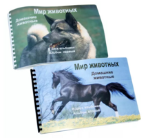 Пособие для слабовидящих - Домашние животные - fgospostavki.ru - Обнинск