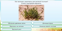 Интерактивные курсы. Окружающий мир 3 класс . Базовый. - fgospostavki.ru - Обнинск