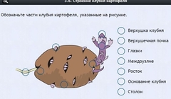 Интерактивные курсы. Биология 6 класс. Расширенный - fgospostavki.ru - Обнинск