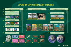 Электрифицированный стенд "Уровни организации жизни" - fgospostavki.ru - Обнинск