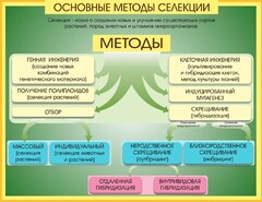 Стенд "Методы селекции и биотехнологии" - fgospostavki.ru - Обнинск