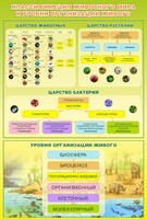 Стенд "Классификация животного мира" - fgospostavki.ru - Обнинск