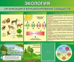 Стенд "Экология. Организация и функционирование сообществ" - fgospostavki.ru - Обнинск