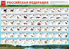 Стенд "Красная книга РФ" - fgospostavki.ru - Обнинск