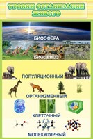 Стенд "Уровни организации живого" - fgospostavki.ru - Обнинск