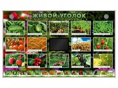 Комплект оборудования "Живой уголок" (растения) - fgospostavki.ru - Обнинск