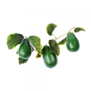 Ветка муляжей "Авокадо" - fgospostavki.ru - Обнинск