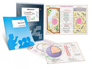 Комплект кодотранспарантов "Цитология" - fgospostavki.ru - Обнинск