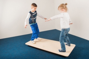 Балансировочная доска - fgospostavki.ru - Обнинск