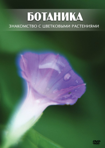 DVD "Ботаника. Знакомство с цветковыми растениями" - fgospostavki.ru - Обнинск