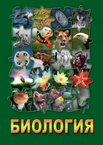 DVD "Биология. Часть 1" - fgospostavki.ru - Обнинск