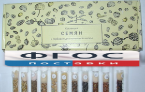 Коллекция "Семена к гербарию для начальной школы" (11 видов) - fgospostavki.ru - Обнинск