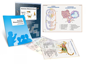 Комплект кодотранспарантов "Зоология. Млекопитающие" - fgospostavki.ru - Обнинск