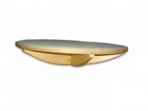 Балансир детский (круг) - fgospostavki.ru - Обнинск