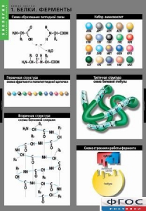 Комплект таблиц. Биология. Химия клетки. - fgospostavki.ru - Обнинск