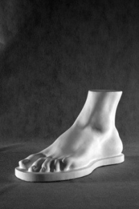 Стопа Геракла (гипс) - fgospostavki.ru - Обнинск