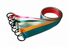 Лента гимнастическая на кольце (0,5 метра) - fgospostavki.ru - Обнинск