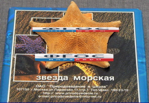 Сухой препарат "Звезда морская" - fgospostavki.ru - Обнинск