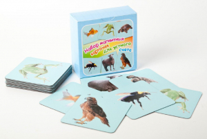 Набор магнитных карточек "Устный счет" (фон голубой) - fgospostavki.ru - Обнинск