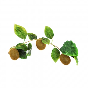 Ветка муляжей "Киви" - fgospostavki.ru - Обнинск