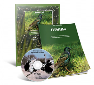 Электронное наглядное пособие «Птицы» - fgospostavki.ru - Обнинск