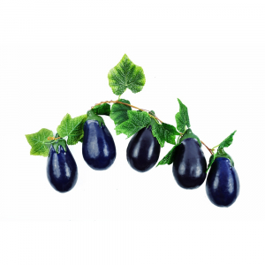 Ветка муляжей "Баклажаны" - fgospostavki.ru - Обнинск