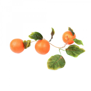 Ветка муляжей "Апельсины" - fgospostavki.ru - Обнинск