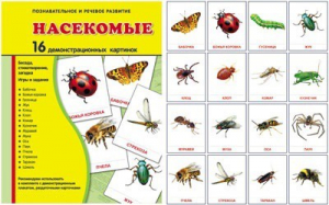 Демонстрационные карточки "Насекомые" - fgospostavki.ru - Обнинск