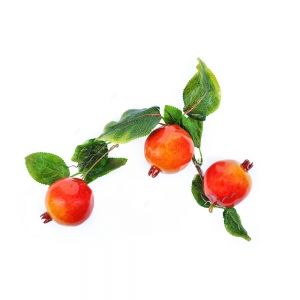 Ветка муляжей "Гранат" - fgospostavki.ru - Обнинск