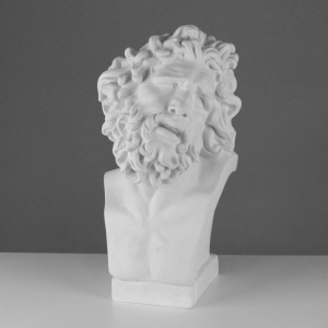 Бюст Лаокоона (гипс) - fgospostavki.ru - Обнинск