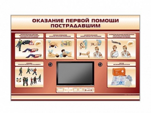 Многофункциональный интерактивный стенд-тренажер "Оказание первой помощи пострадавшим" для учащихся общеобразовательных учреждений - fgospostavki.ru - Обнинск