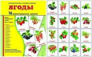 Демонстрационные карточки "Ягоды" - fgospostavki.ru - Обнинск
