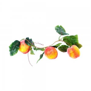 Ветка муляжей "Персики" - fgospostavki.ru - Обнинск