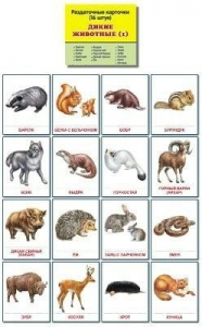Раздаточные карточки "Дикие животные (1)" - fgospostavki.ru - Обнинск