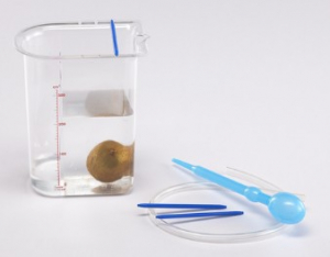 Сосуд Архимеда - fgospostavki.ru - Обнинск