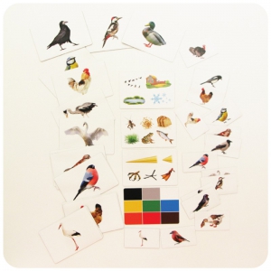 Набор магнитных карточек "Загадки-отрицания". Птицы - fgospostavki.ru - Обнинск