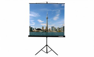 Проекционный экран на штативе Lumien Eco View (LEV-100105) 160x160 см - fgospostavki.ru - Обнинск