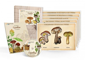 Комбинированное наглядное пособие  «Грибы» - fgospostavki.ru - Обнинск