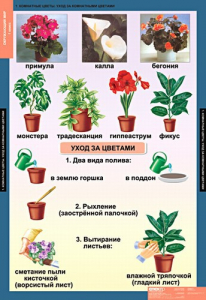 Комплект таблиц. Окружающий мир 1 класс. - fgospostavki.ru - Обнинск